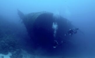 Hilma Hooker week