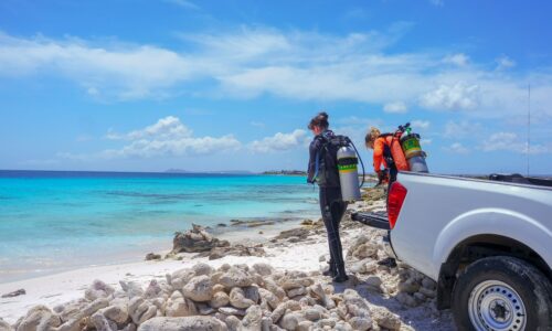 Shore diving