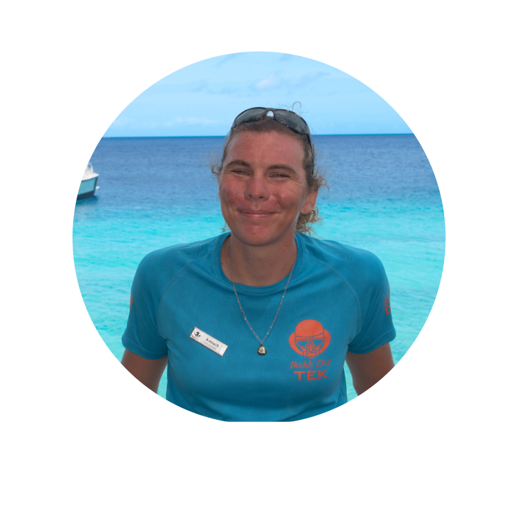 buddydive.com